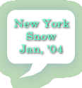 New York Snow Jan, '04 
